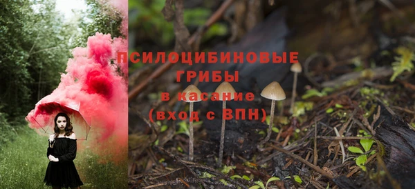 spice Сосновка
