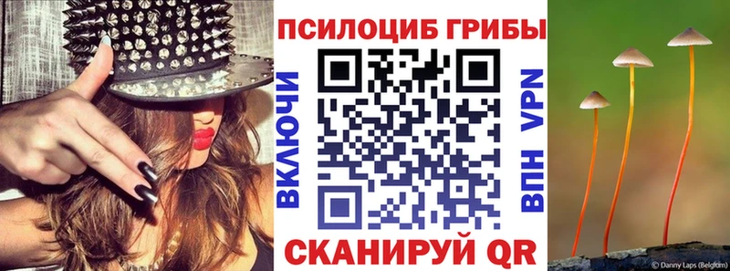 Купить  Сафоново  Псилоцибиновые грибы GOLDEN TEACHER 
