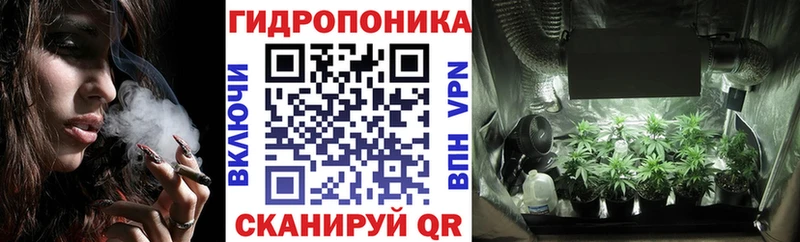 Купить закладки  Сафоново  Шишки марихуана тримм 